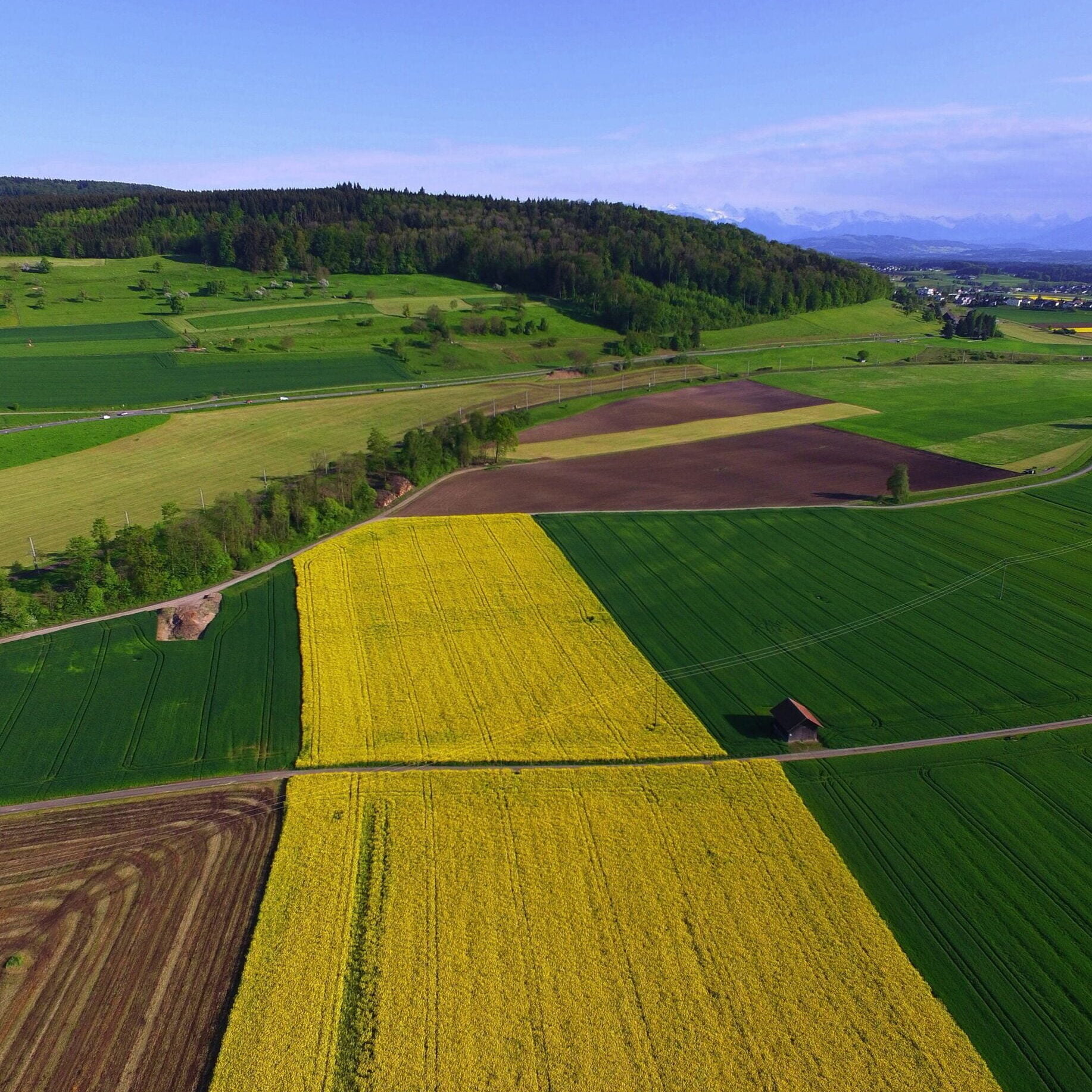What Is Land-Use Change And What Role Does Agriculture Play In It?