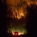 Fighting On Two Fronts: The Twin Climate And Biodiversity Crises