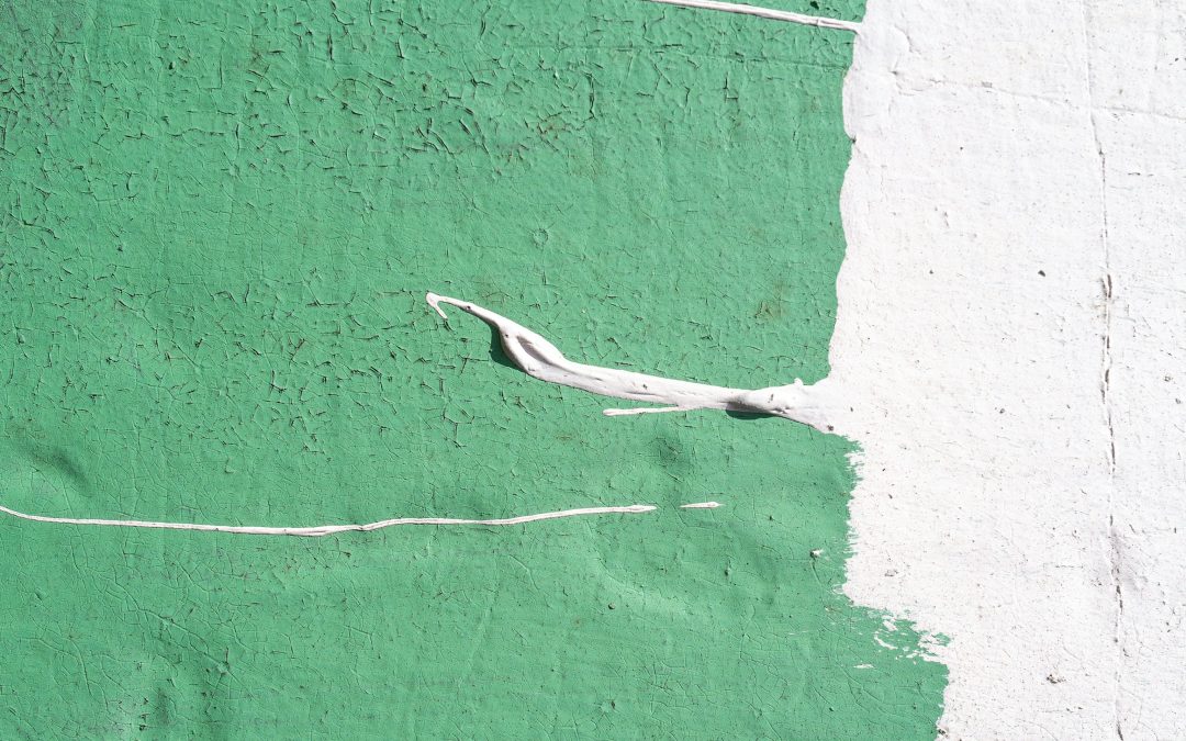 Greenwashing: An Introduction