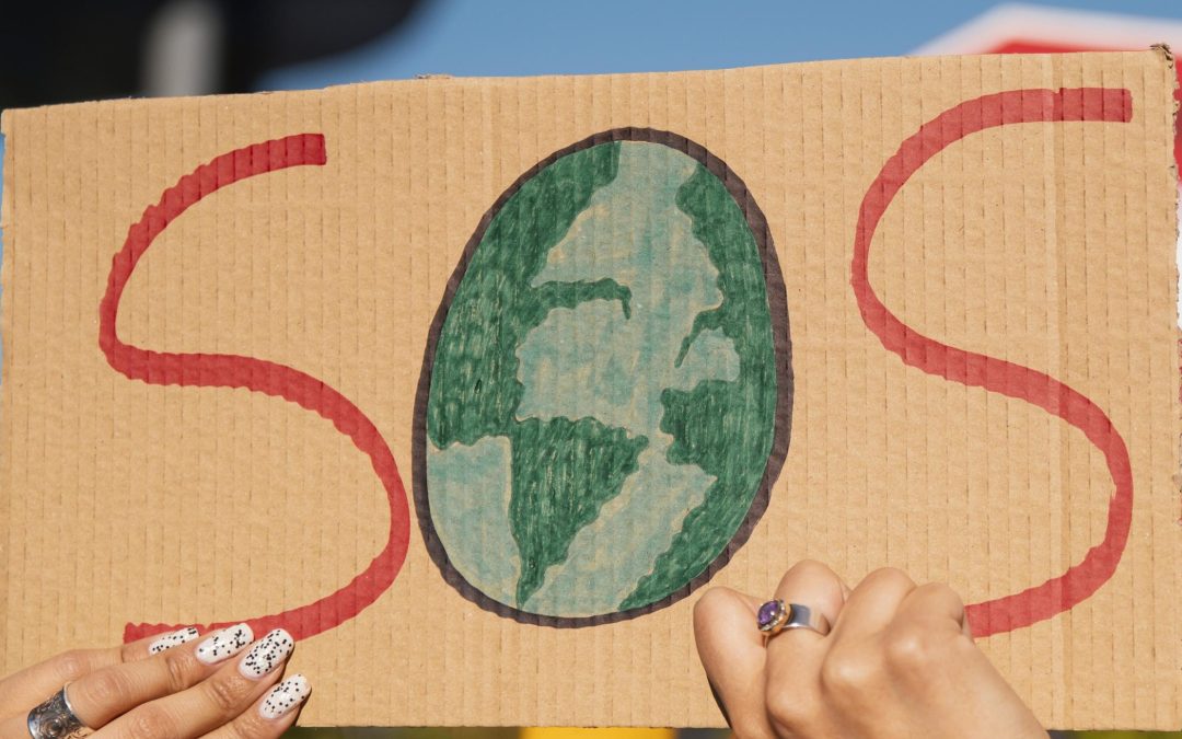 Green Shy?: Understanding Green Hushing in the 21st Century