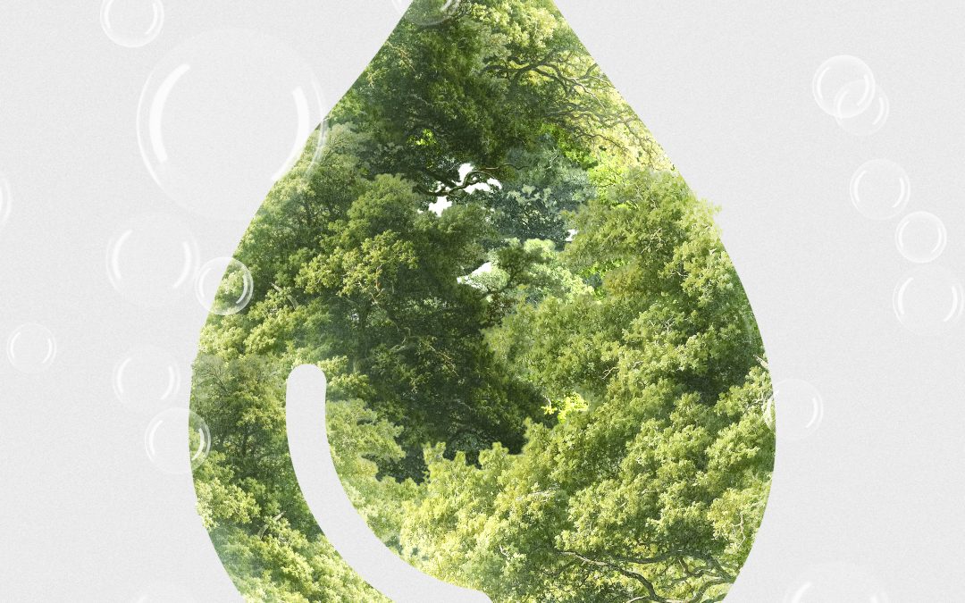 Greenwashing Exposed: Case Studies