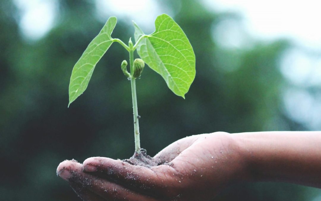 Just Transition: How Is It Abused To Delay Climate Action