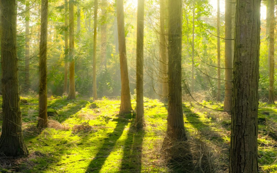 Is Geoengineering An Effective Climate Solution?