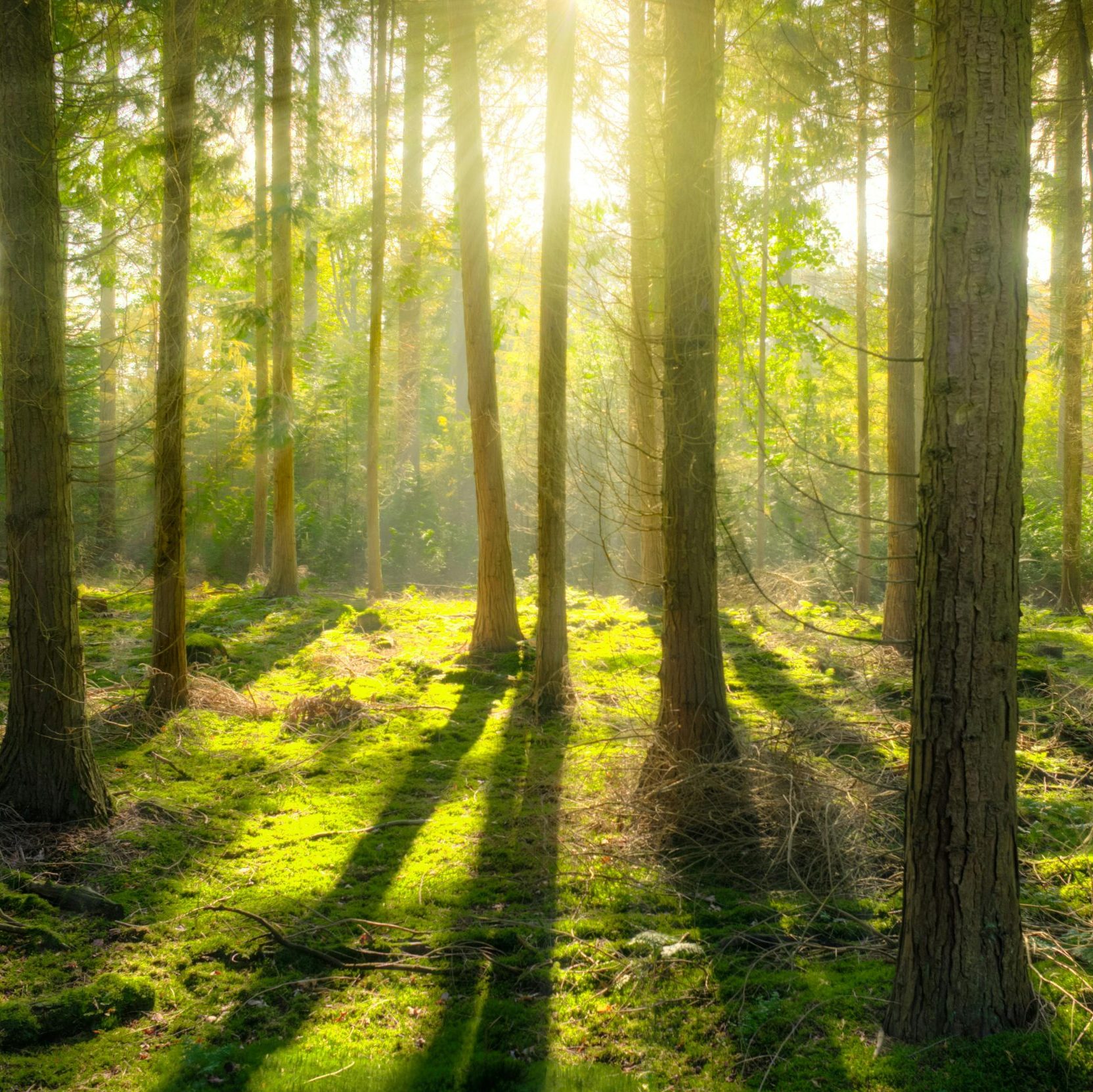 Is Geoengineering An Effective Climate Solution?