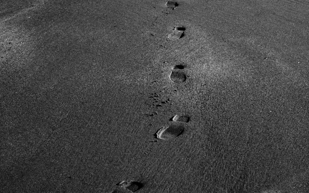 How Inaction Is Justified: Discourses Of Climate Delay