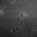 How Inaction Is Justified: Discourses Of Climate Delay