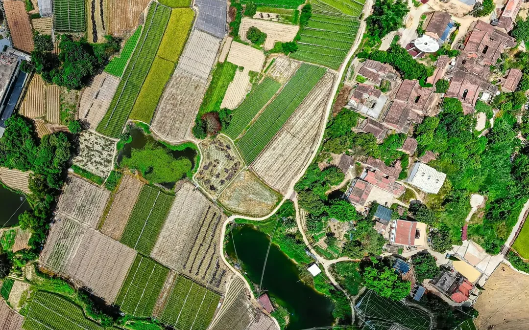 Land Use: How Is Land Governed?