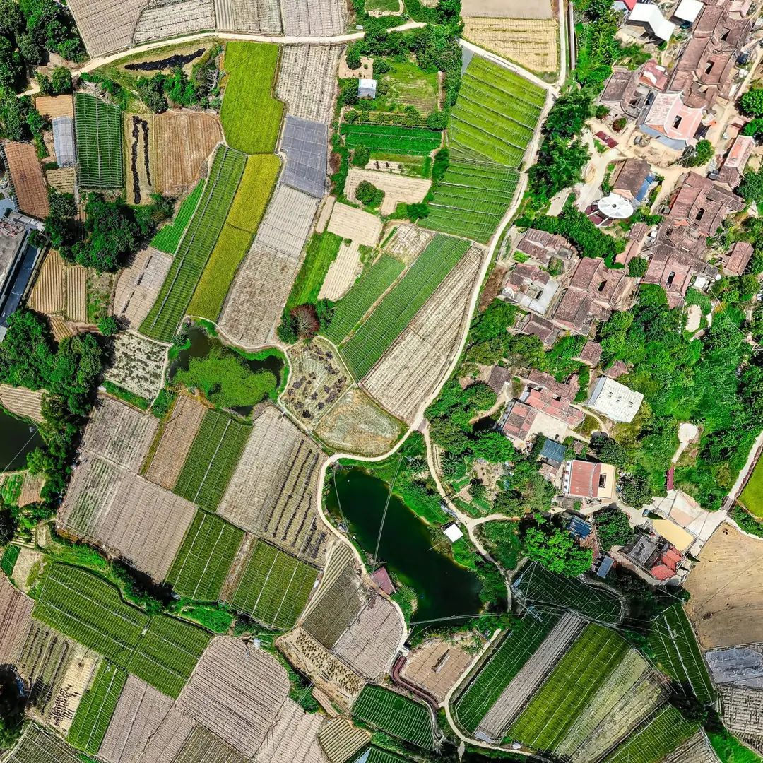 Land Use: How Is Land Governed?