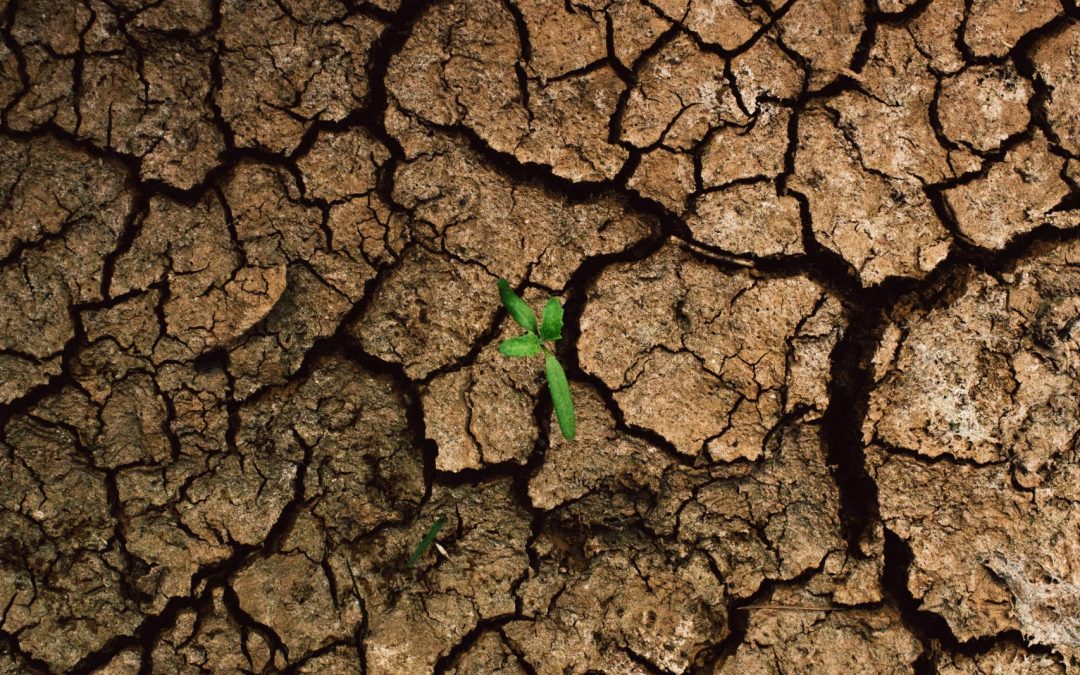 An Introduction to UNCCD COPs