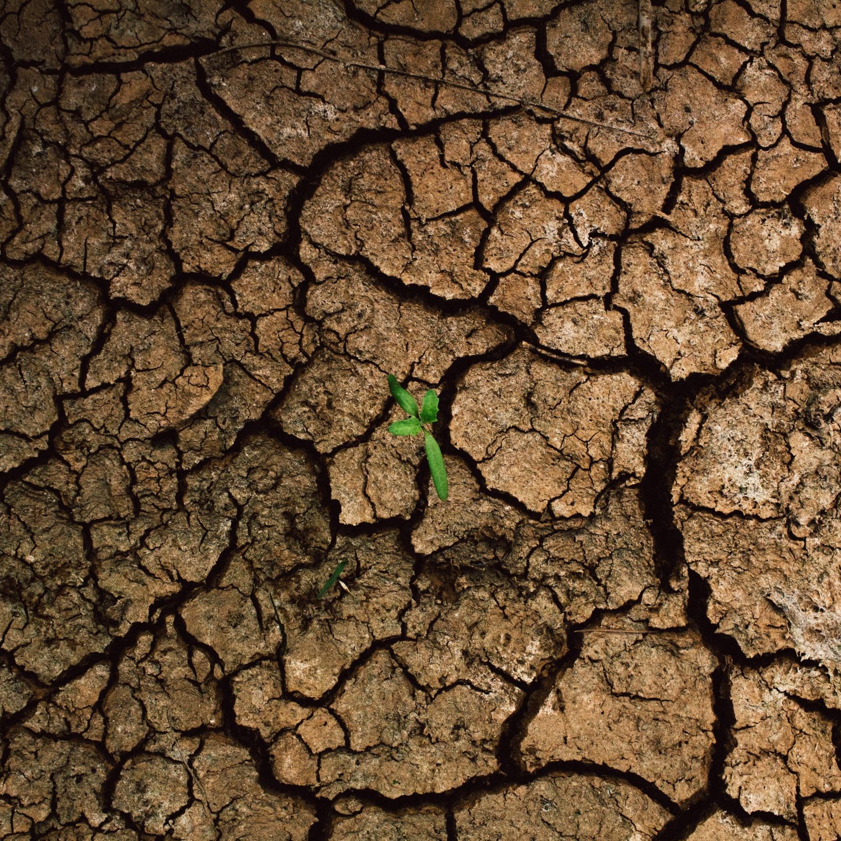 An Introduction to UNCCD COPs