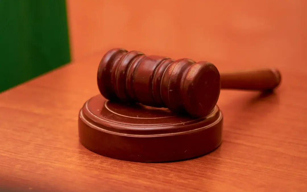 From Courts to Individuals: The Expanding Role Of Private Enforcement Of Climate Law