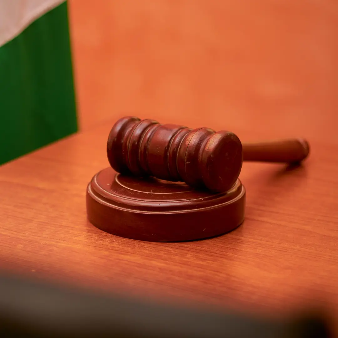 From Courts to Individuals: The Expanding Role Of Private Enforcement Of Climate Law