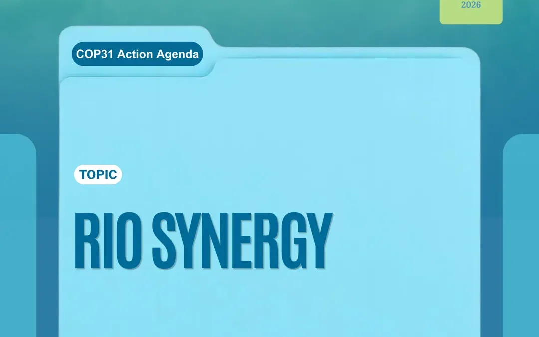 Three Conventions, One Landscape: What Synergy Would Have to Mean?