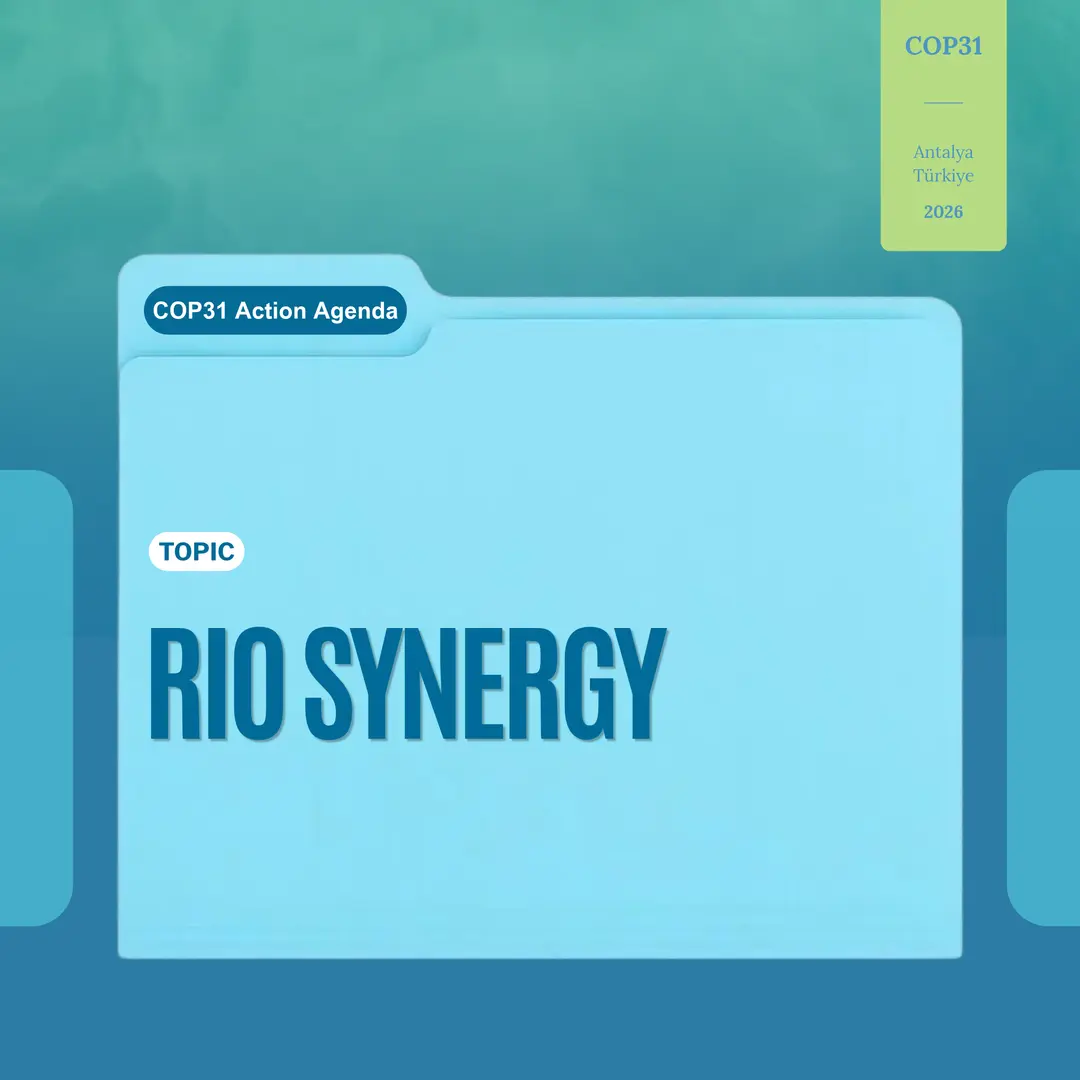 Three Conventions, One Landscape: What Synergy Would Have to Mean?