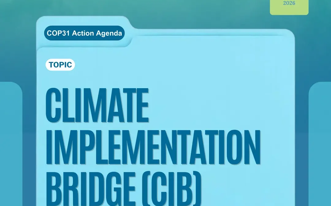 Climate Implementation Bridge: Turning National Plans into Things Banks Will Fund