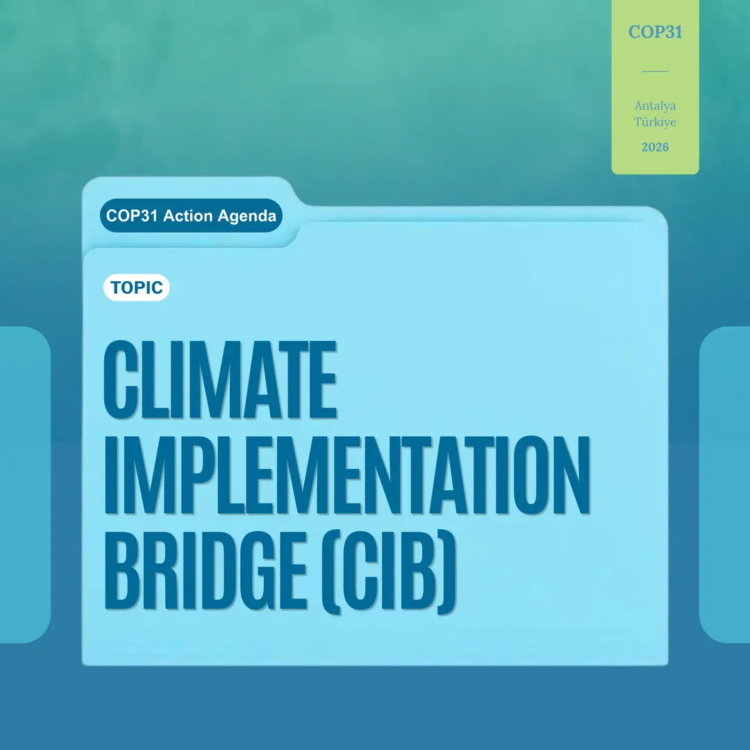Climate Implementation Bridge: Turning National Plans into Things Banks Will Fund
