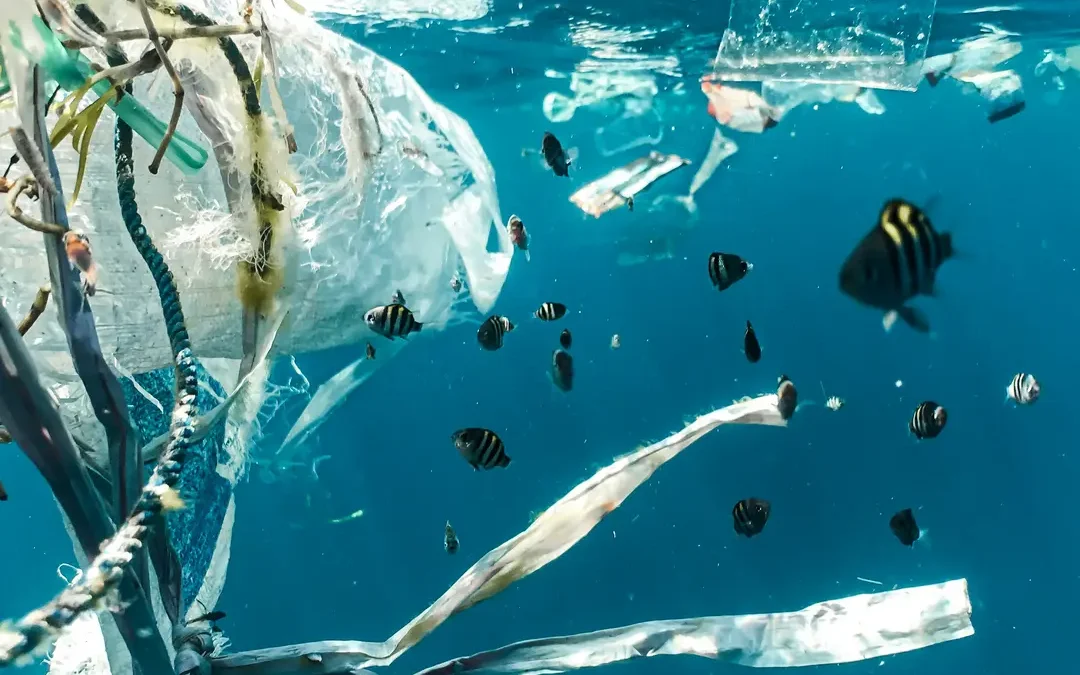 Two Crises, One Source: How are Fossil Fuel Lobbyists Delaying the UN Global Plastics Treaty Talks?