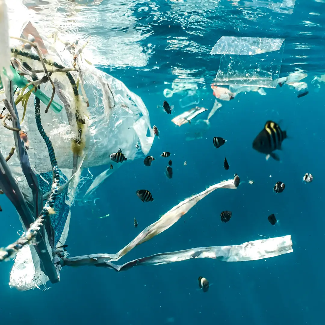 Two Crises, One Source: How are Fossil Fuel Lobbyists Delaying the UN Global Plastics Treaty Talks?