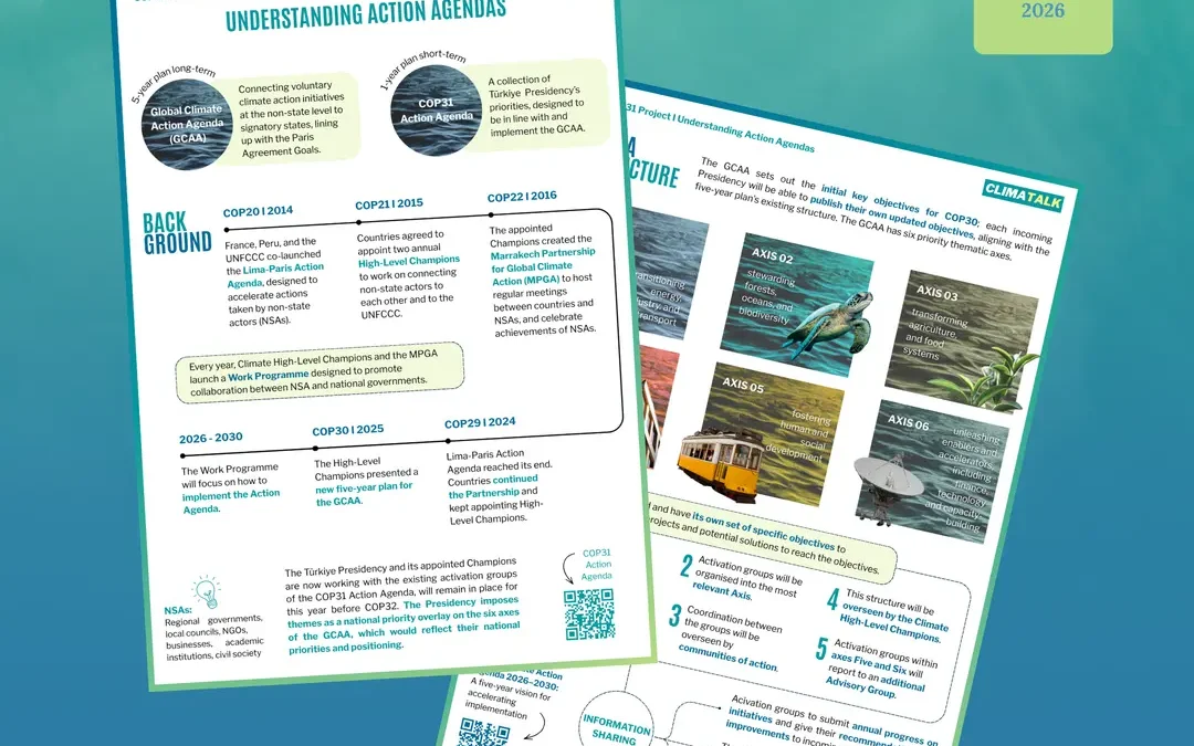 COP31 Understanding Action Agendas Factsheet